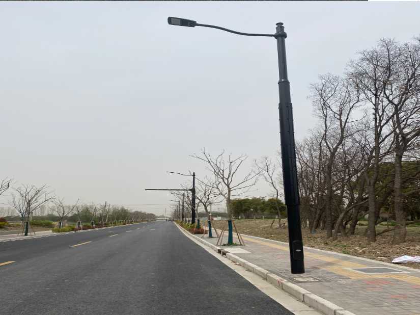 边坝县上海综合杆 太阳能路灯工程